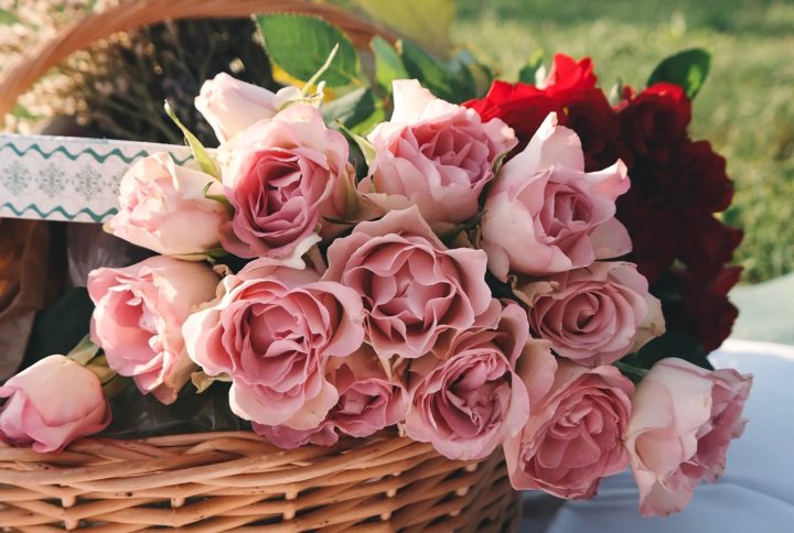 Guía básica para la conservación efectiva de las flores