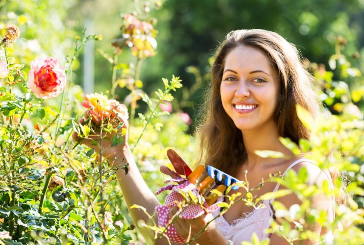 ¡Descubre los increíbles beneficios de las plantas y las flores para tu salud!