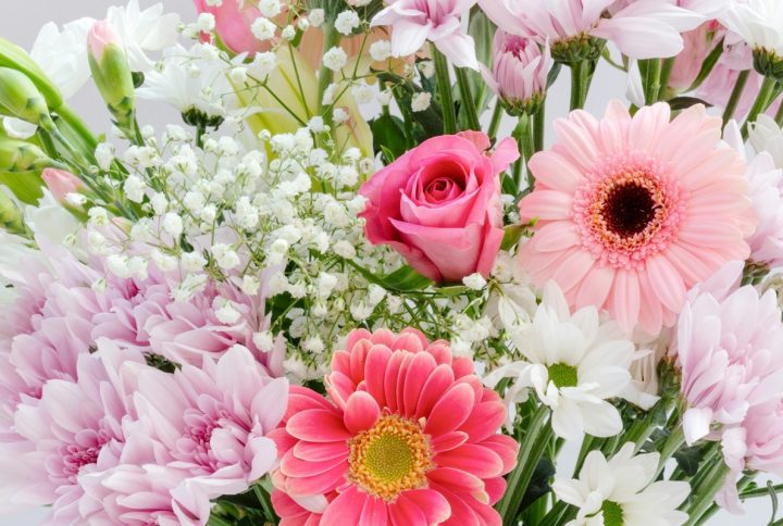 Flores sin polen, las más recomendadas para personas con alergia