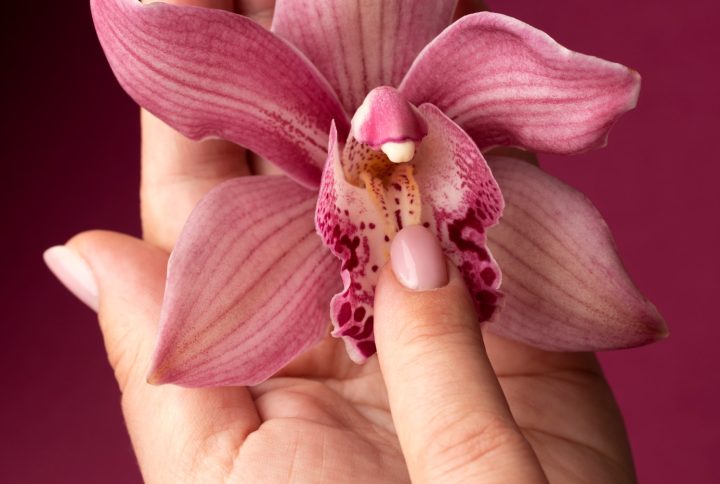 Tips para averiguar si tienes una planta macho o hembra