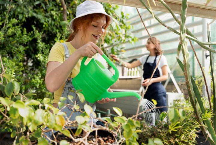 Cuándo regar las plantas en verano y otros cuidados esenciales