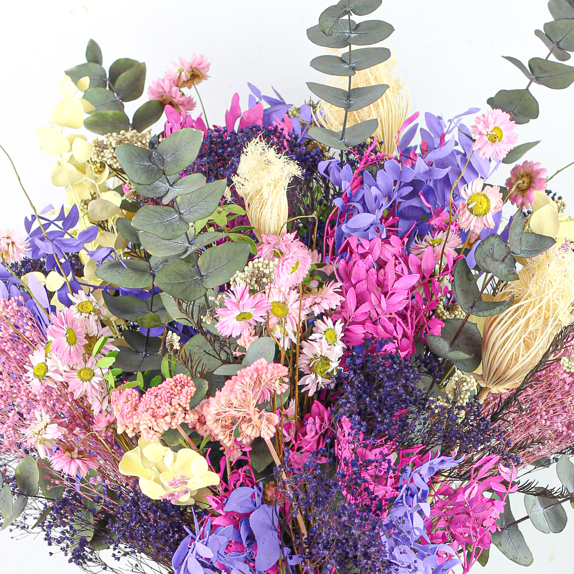 ramo sesco nalba 2-2 ramo sesco nalba 2-2